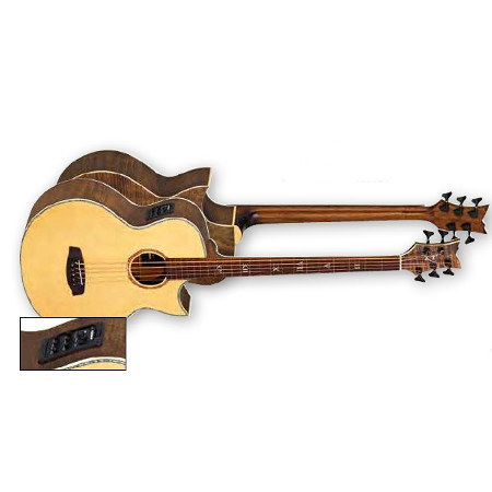 ACOUSTIC-EL. BASS 5-STR.ORTEGA KEN TAYLOR SIGN. FRETLESS, 34"