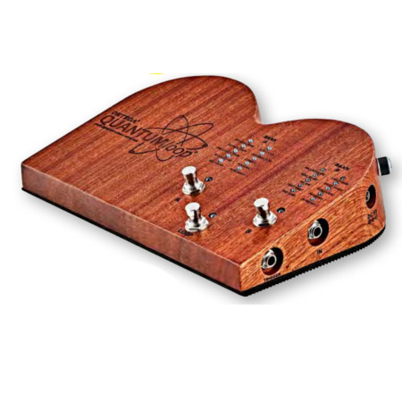 DIGI STOMP BOX/LOOPER   ORTEGA 16 x SAMPLES & 4 x FREE SPACE