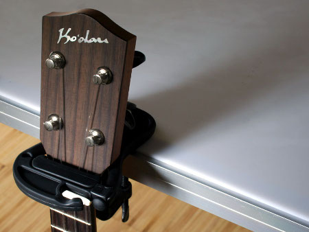 Table mounted instrument holder
