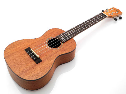 Koki'o mahogany concert Ukulele w/bag