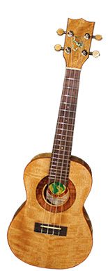 Big Island Koa Solid Concert Ukulele