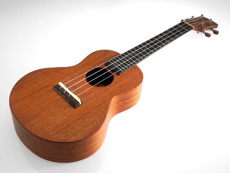 All Solid Mahogany Concert Ukulele incl. Gigbag