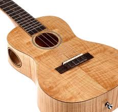 Kai koncert ukulele