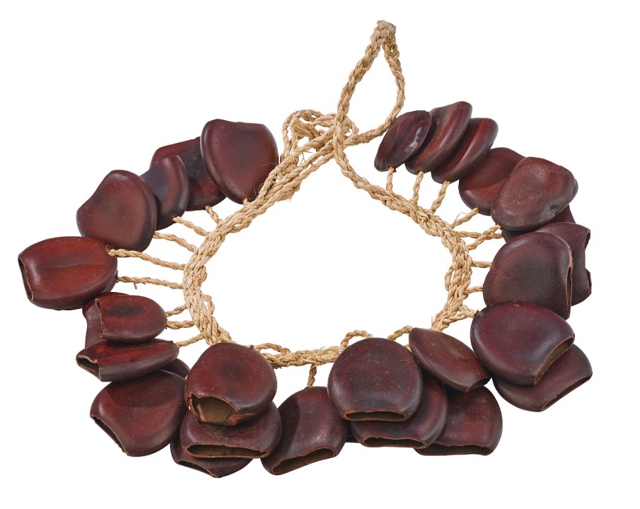 Afroton Jujubab füzér